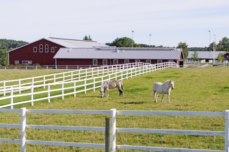 Farm Fencing