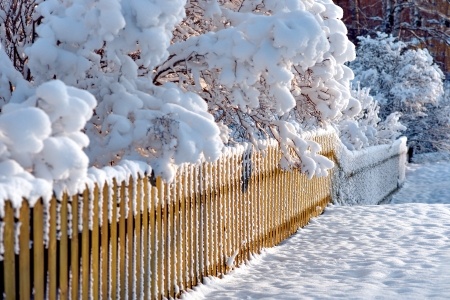 snow covered fence