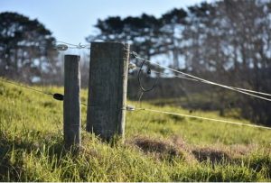 Electric Fence