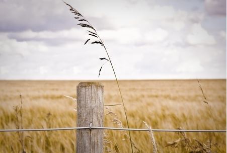 Deer-Tuff Fixed Knot Fence - Stay Tuff Fence