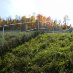 Chain Link Fences