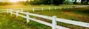 Farm Fences