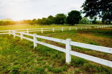 Farm Fences