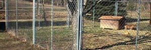 Chain Link Fencing