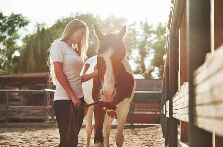 Horse Supplements