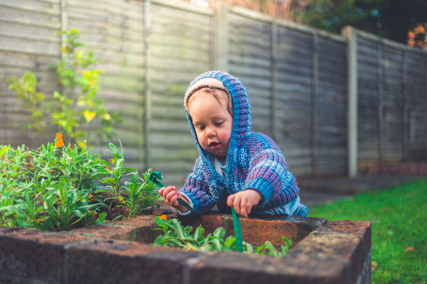 Fences for Families With Small Children