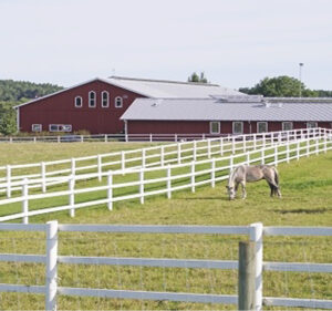 A white farm fence around two horses